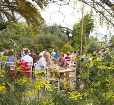 People dining in the Eden Project's Mediterranean Biome
